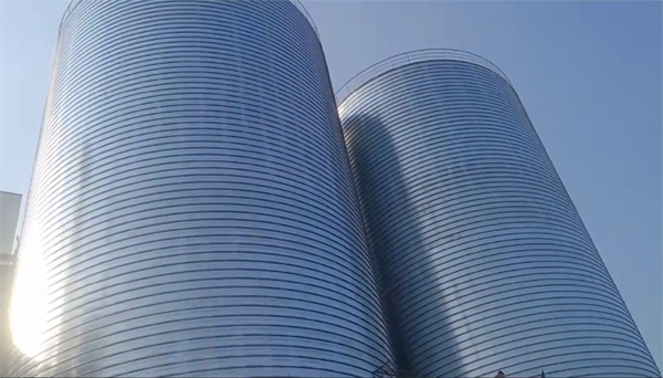 巴宜2座混凝土高架卷板仓